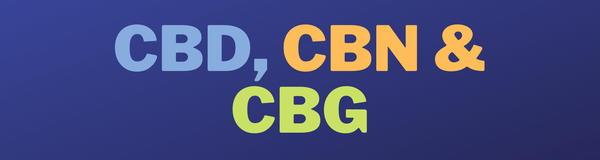 Differences between CBG, CBN, and CBD